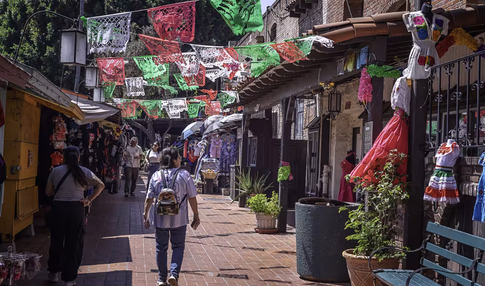 Una mujer en una calle peatonal con banderas rojas, verdes y blancas sobre su cabeza.