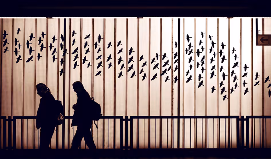 People walk underneath birds