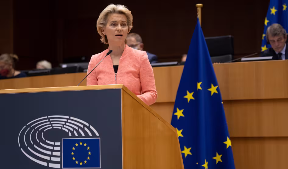 State of the EU 2020