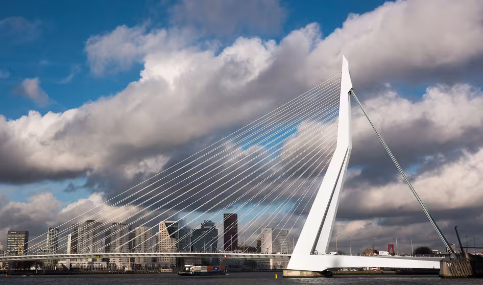 Rotterdam's Erasmus Bridge
