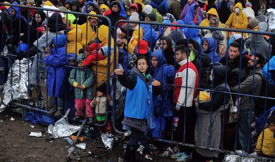 A UNHCR protection officer searches for people in need of immediate help at the border between Serbia and Croatia.