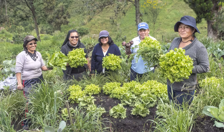 Participants in a horticultural development project, organized by the IOM Coordinating Office for th