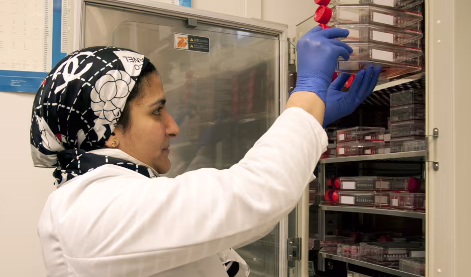 An FDA researcher stores stem cell samples for analysis