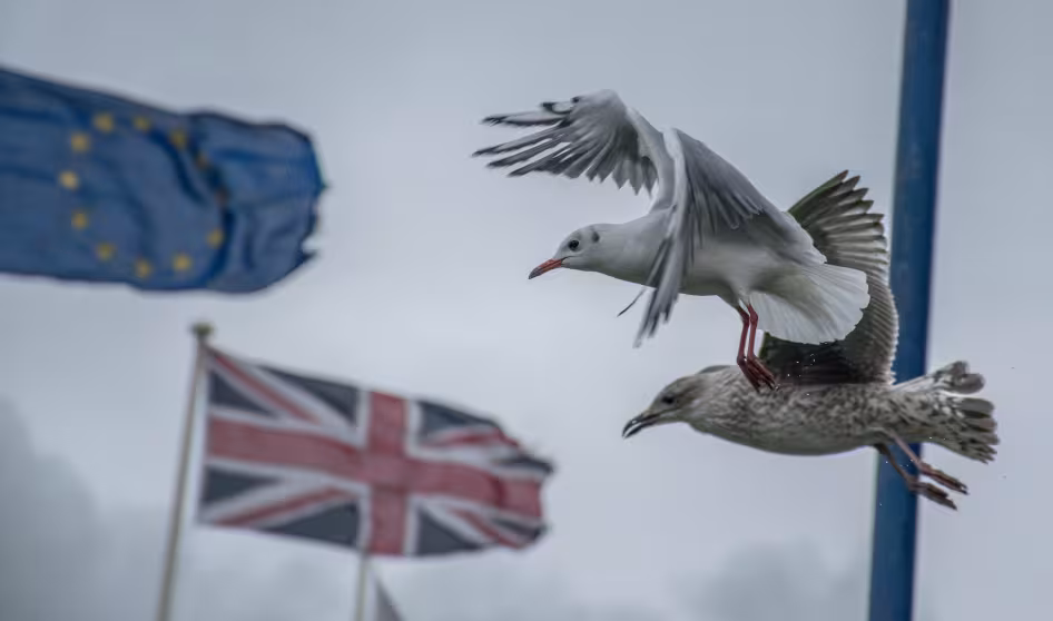 British and EU flags