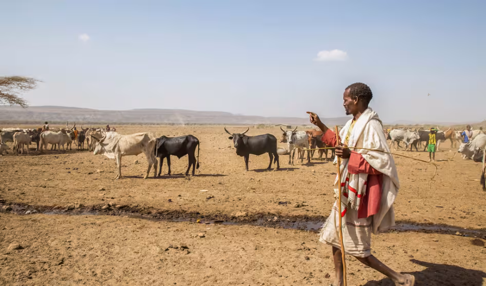 DroughtEthiopia UNICEFEthiopia Flickr