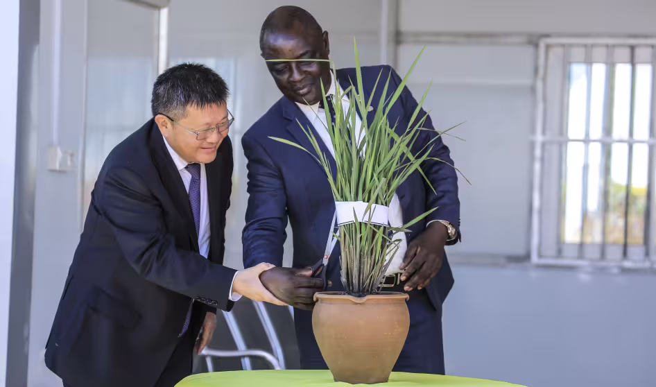 Two officials visit the China-Uganda Agricultural Cooperation Industrial Park in Uganda. 