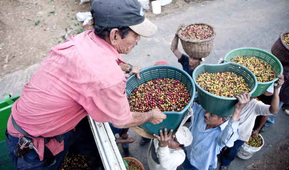 NicaraguanCoffeePickers IngmarZahorsky Flickr