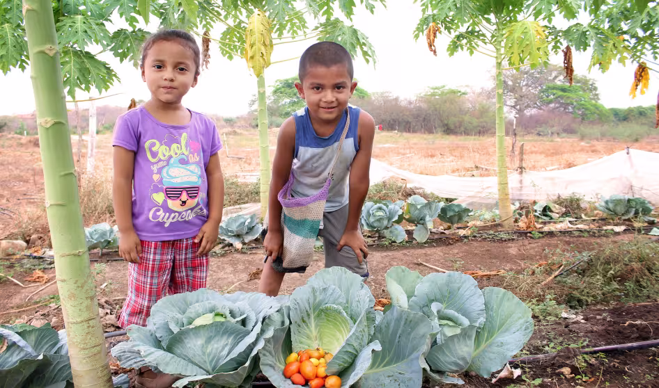 SalvadoranKids FAO AMEXCID Flickr