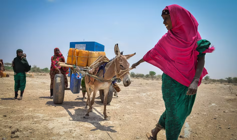 Women with children and a donkey in Ethiopia.