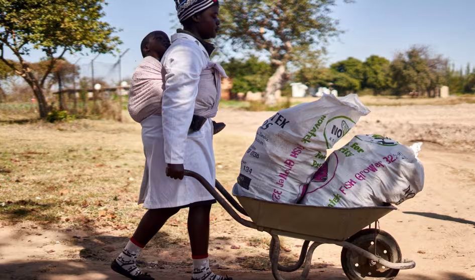 A woman in Zimbabwe pushes a wheelbarrow.