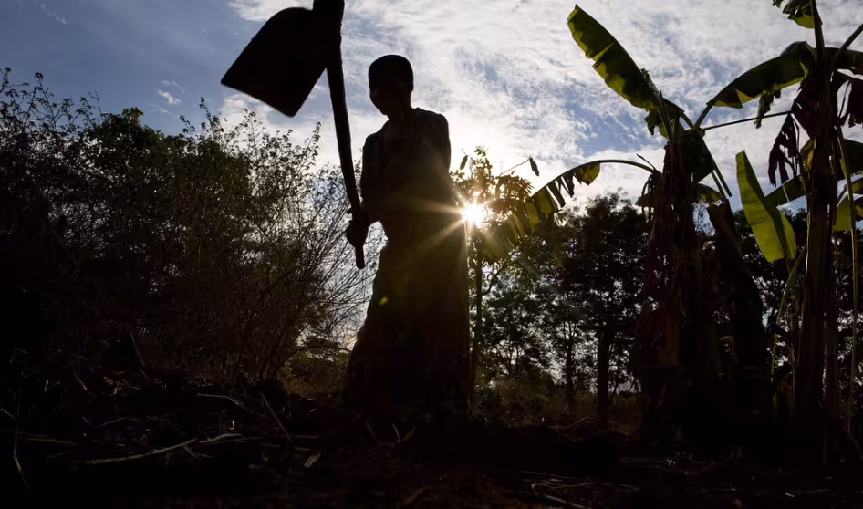 A farmer in Tanzania tends to crops.