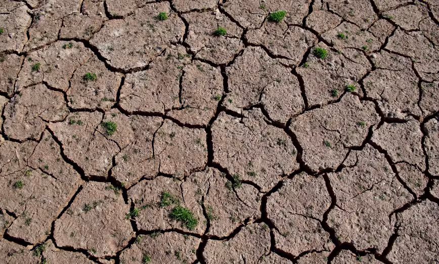 Cracked, dry earth 