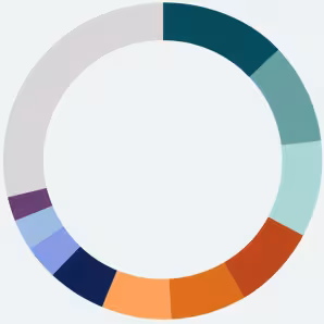 A donut chart with different colored slices
