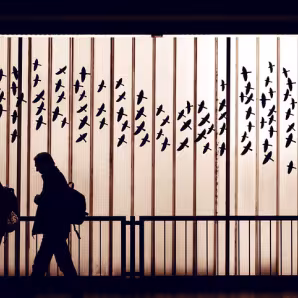 People walk underneath birds
