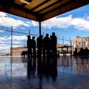 Silhouettes in front of a barbed wire fence and blue sky.