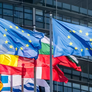 Image of EU and Member State flags flapping in wind
