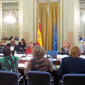 TCM2012MeetingMadrid