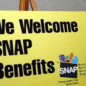 SNAP poster