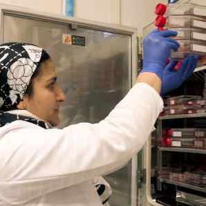 An FDA researcher stores stem cell samples for analysis