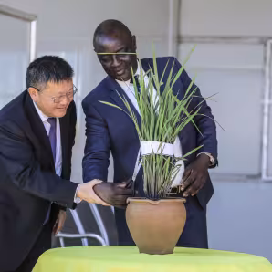 Two officials visit the China-Uganda Agricultural Cooperation Industrial Park in Uganda. 