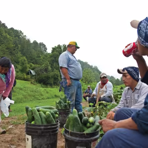 Agricultural workers break for lunch on a cucumber farm in Virginia.