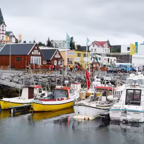 Fishing boats