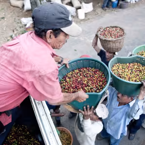 NicaraguanCoffeePickers IngmarZahorsky Flickr