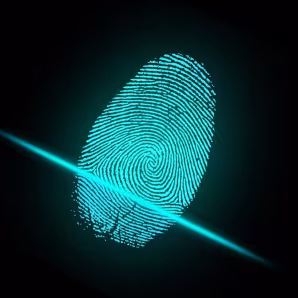 Digital fingerprint