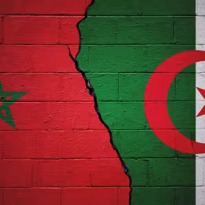 Paintings of the Algerian and Moroccan flags on a brick wall