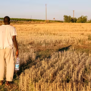 A farmworker from Africa in a field in Southern Italy.