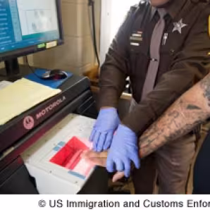 An office checks arrestees' fingerprints against criminal and immigration databases.