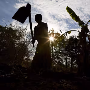 A farmer in Tanzania tends to crops.