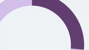 Part of a donut chart with light purple and dark purple segments
