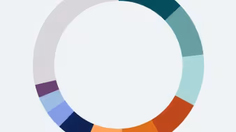 A donut chart with different colored slices