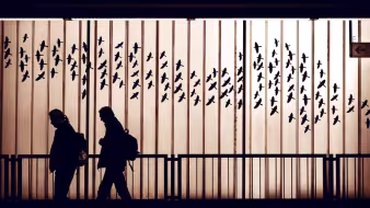 People walk underneath birds