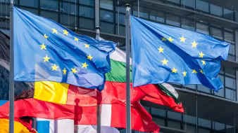 Image of EU and Member State flags flapping in wind