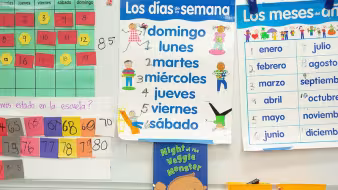Classroom display with educational language posters