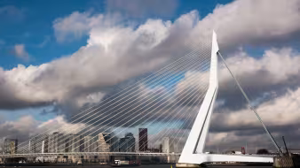 Rotterdam's Erasmus Bridge