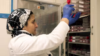 An FDA researcher stores stem cell samples for analysis