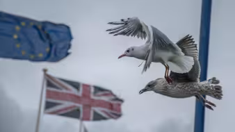 British and EU flags