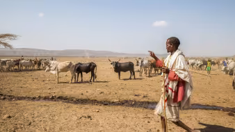 DroughtEthiopia UNICEFEthiopia Flickr