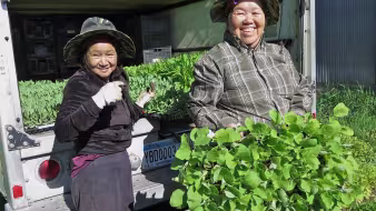 Hmong farmers in Minnesota