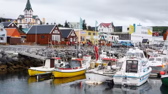 Fishing boats