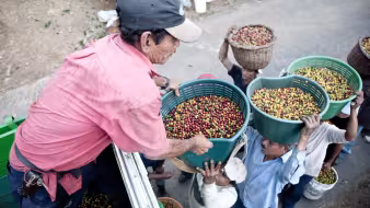 NicaraguanCoffeePickers IngmarZahorsky Flickr