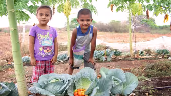 SalvadoranKids FAO AMEXCID Flickr