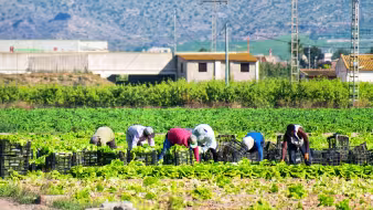 Farmworkers in Murcia, Spain