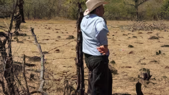 dry corridor honduras food migration
