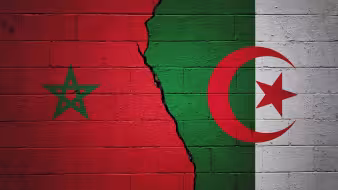 Paintings of the Algerian and Moroccan flags on a brick wall