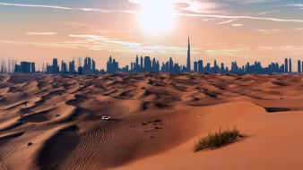 The Dubai skyline. 